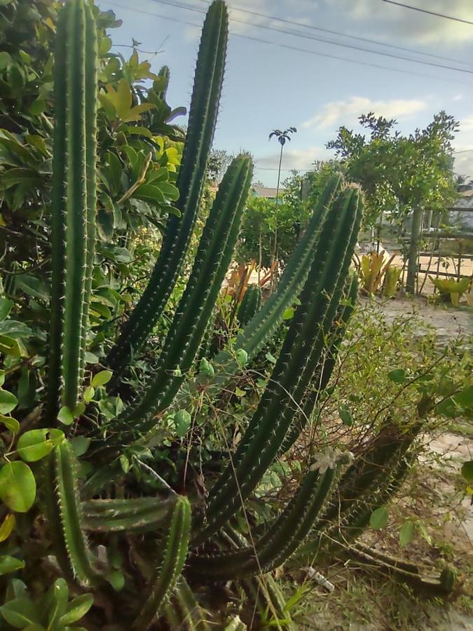 Pousada Quintal Dos Sonhos Xando Caraíva Esterno foto